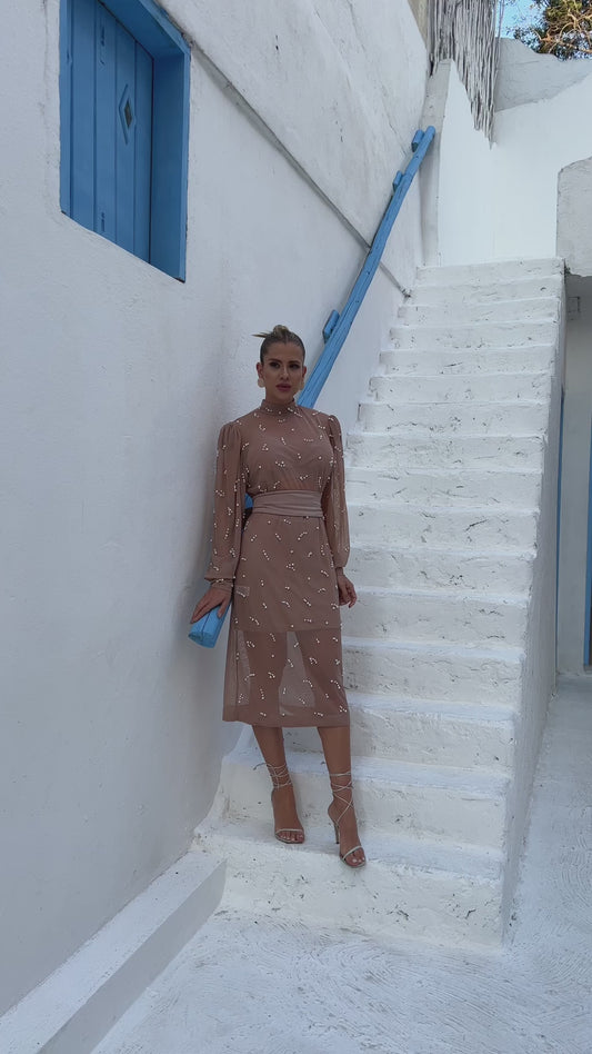 Embroidered Tulle Dress Pearls